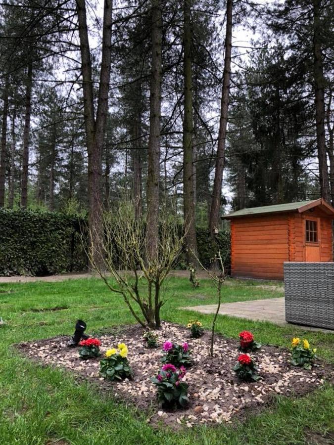 Luxe Vakantiehuis In Het Bos Overbroek 外观 照片