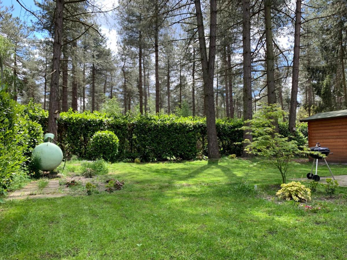 Luxe Vakantiehuis In Het Bos Overbroek 外观 照片