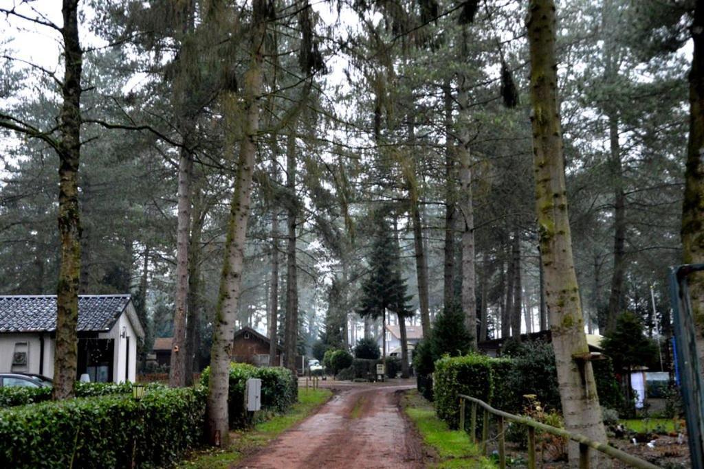 Luxe Vakantiehuis In Het Bos Overbroek 外观 照片