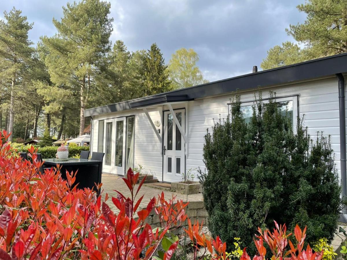 Luxe Vakantiehuis In Het Bos Overbroek 外观 照片
