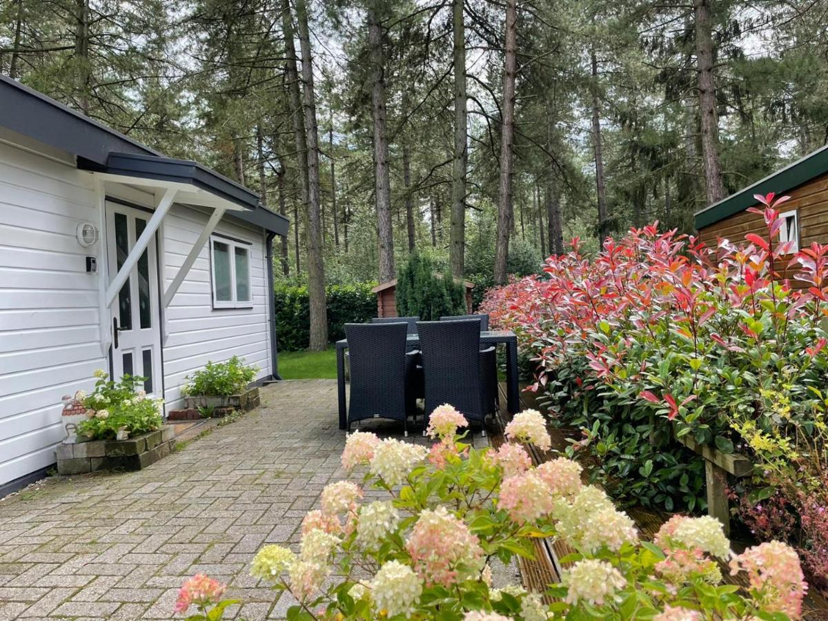 Luxe Vakantiehuis In Het Bos Overbroek 外观 照片